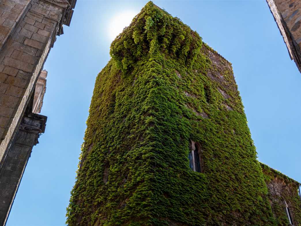 historische bauwerke, spanien, cáceres, turm, Casa de los Paredes Saavedra y Torre de Sande